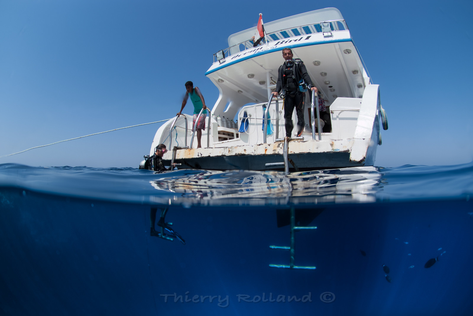 thierry-rolland.fr127_6453.jpg