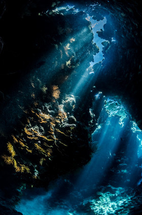 Grottes et coraux